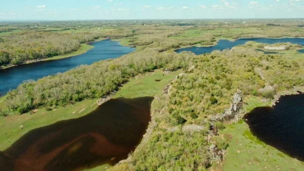 The stone outline of the huge Irish Bronze Age fortress built in Coole Park is clearly visible between the turlough lakes.  (RTE News)